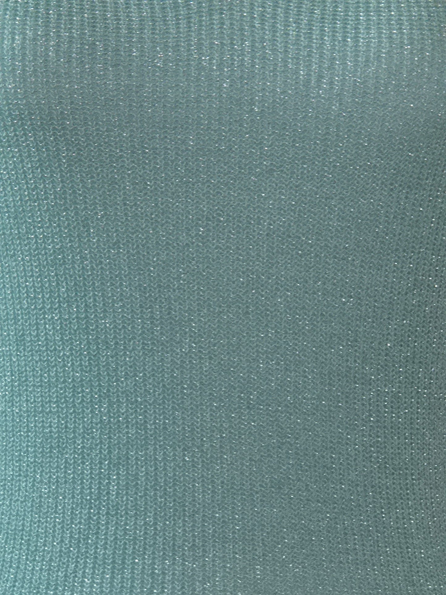 Débardeur à paillettes ✨